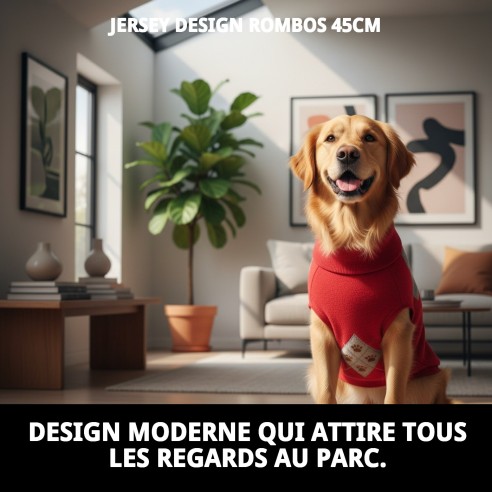 Pull design losanges 45 cm pour votre animal de compagnie élégant et confortable.