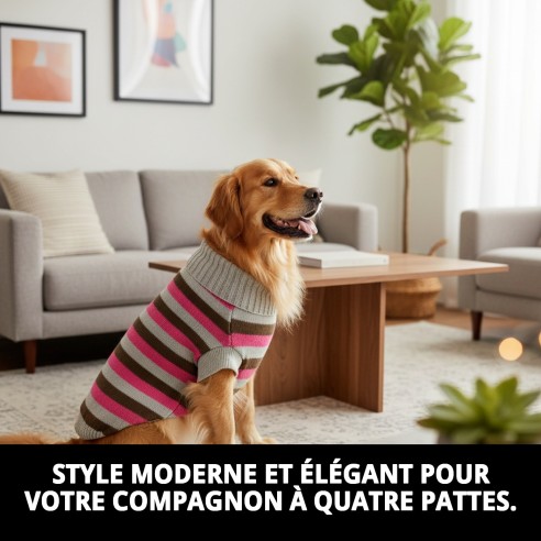 Jersey à Rayures 45cm pour Animaux avec Style