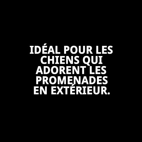 Imperméable réfléchissant avec capuche pour animaux de compagnie 45 cm