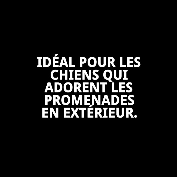 Imperméable réfléchissant avec capuche pour animaux de compagnie 45 cm