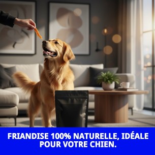 Snack de Poitrine de Poulet de Ferme 1kg - Délice sain pour chiens 2