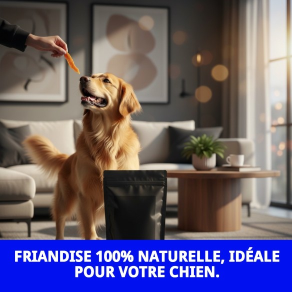 Snack de Poitrine de Poulet de Ferme 1kg - Délice sain pour chiens