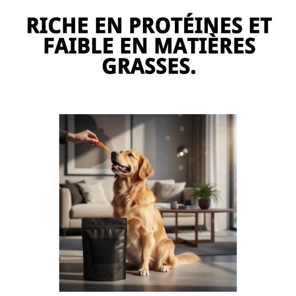 Snack de Poitrine de Poulet de Ferme 1kg - Délice sain pour chiens
