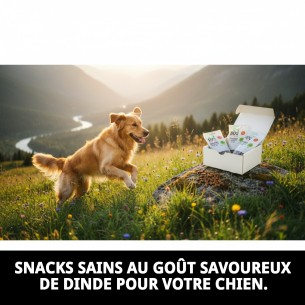 Snacks Premium pour Chiens Saveur Dinde - 50 Sachets 100g 2