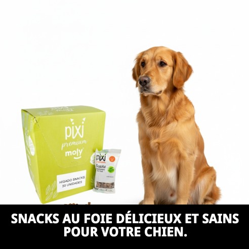 Exposant de snacks premium au foie pour chiens 50 sachets