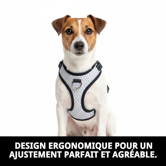 Harnais en nylon New Confort 28-41 cm pour votre animal de compagnie