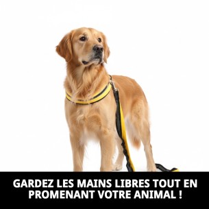 Sangle en Nylon Mains Libres : Liberté et Confort pour Vous 2