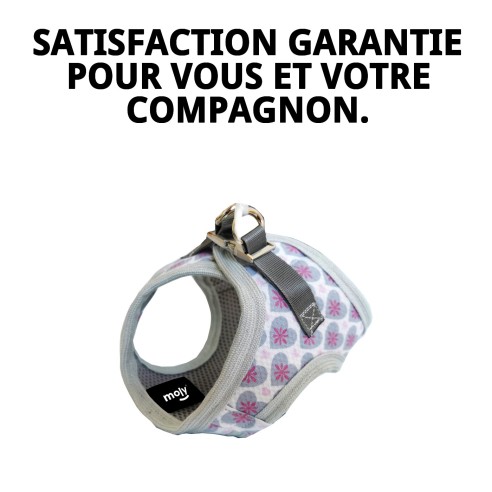 Gilet 3D Cœurs T-XXXS : Confort et Style pour Animaux de Compagnie