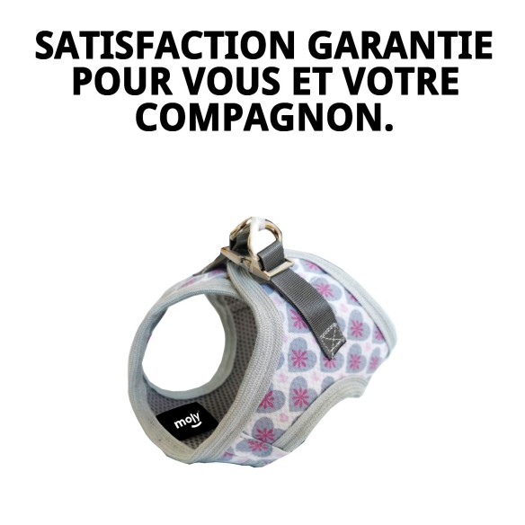 Gilet 3D Cœurs T-XXXS : Confort et Style pour Animaux de Compagnie