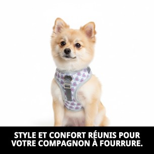 Gilet 3D Cœurs T-XXS : Confort et Style pour Votre Animal de Compagnie 2
