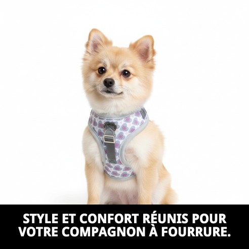 Gilet 3D Cœurs T-XXS : Confort et Style pour Votre Animal de Compagnie