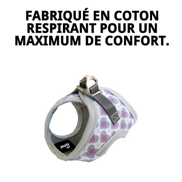 Gilet 3D Cœurs T-XXS : Confort et Style pour Votre Animal de Compagnie