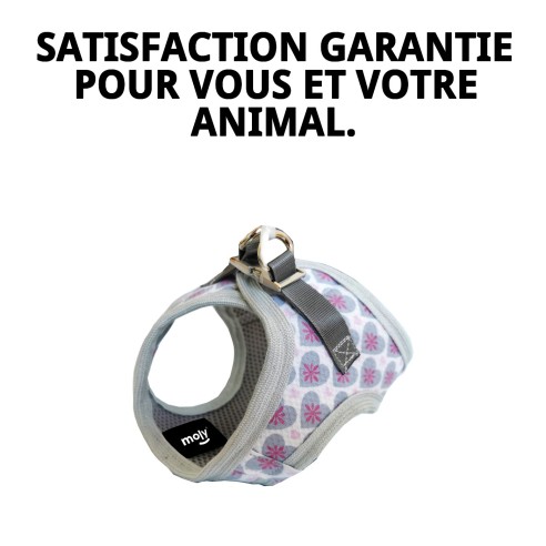 Gilet 3D Cœurs T-XXS : Confort et Style pour Votre Animal de Compagnie