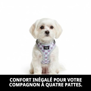 Gilet 3D Cœurs T-XS : Confort et Style pour Animaux de Compagnie 2