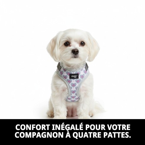 Gilet 3D Cœurs T-XS : Confort et Style pour Animaux de Compagnie