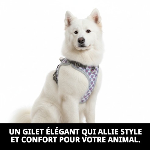 Gilet 3D Cœurs T-S : Confort et Style pour Animaux de Compagnie