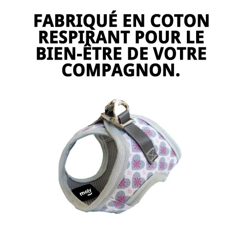 Gilet 3D Cœurs T-S : Confort et Style pour Animaux de Compagnie