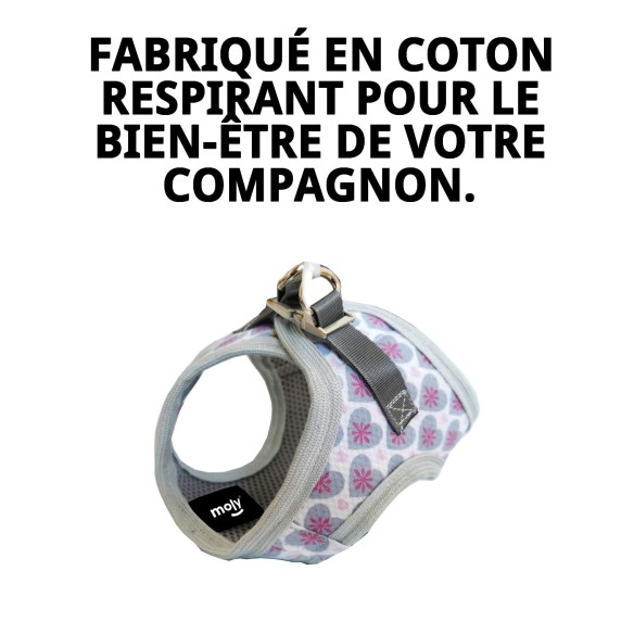 Gilet 3D Cœurs T-S : Confort et Style pour Animaux de Compagnie