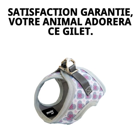 Gilet 3D Cœurs T-S : Confort et Style pour Animaux de Compagnie