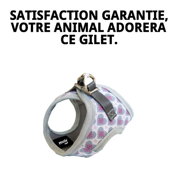 Gilet 3D Cœurs T-S : Confort et Style pour Animaux de Compagnie