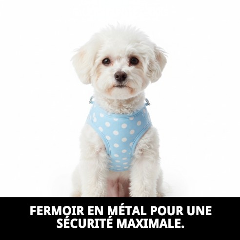 Gilet 3D Topitos T-XXXS : confort et style pour votre animal de compagnie