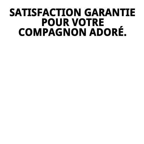 Gilet 3D Topitos T-XXXS : confort et style pour votre animal de compagnie