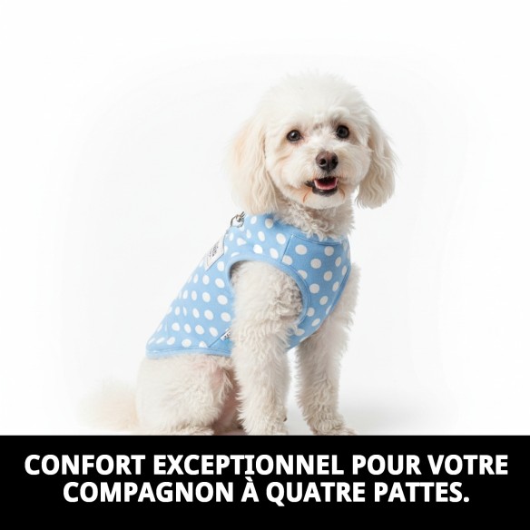 Gilet 3D Topitos T-XS : Confort et sécurité pour votre animal de compagnie.