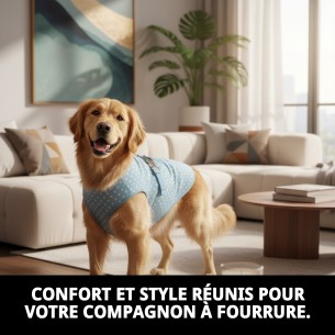 Gilet 3D Topitos T-S : Confort et Style pour votre Animal de Compagnie 2