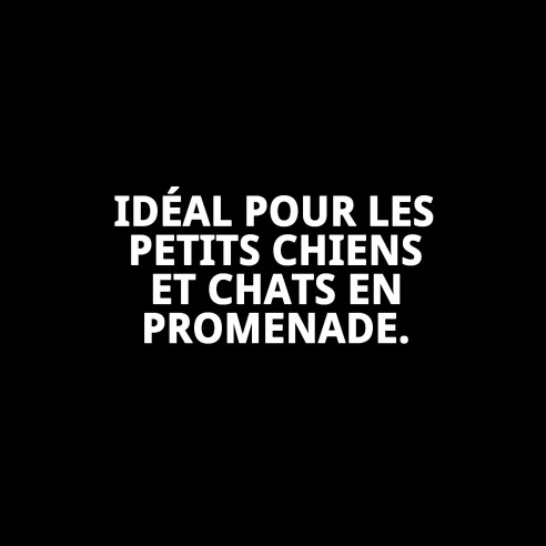 Gilet 3D Mouettes T-XXS : Confort et Style pour votre Animal de Compagnie