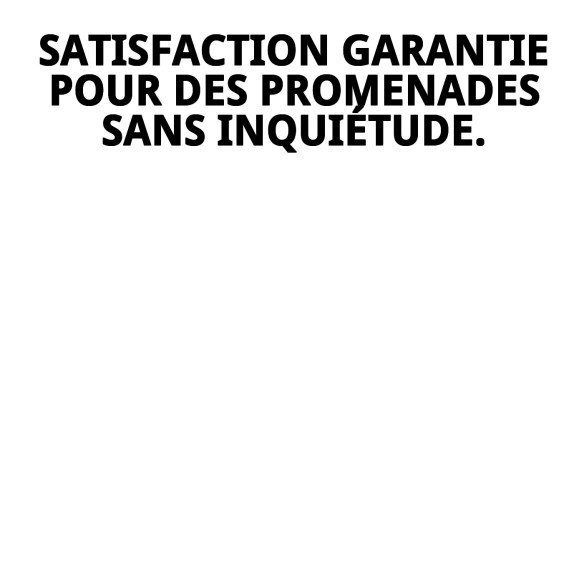 Gilet 3D Cenefas Gaviotas T-XS : Confort et Style pour Animaux de Compagnie