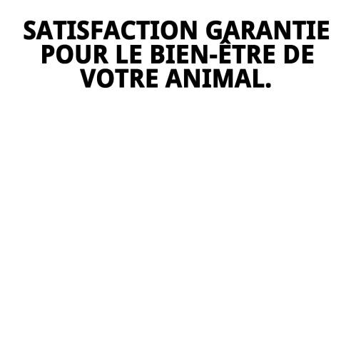 Gilet 3D Nuages T-XXXS : Confort et Style pour votre Animal de Compagnie