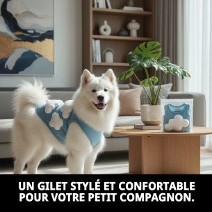 Gilet 3D Nuages T-XXS pour Animaux de Compagnie avec Style et Confort 2