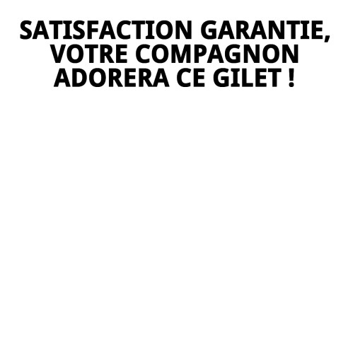 Gilet 3D Nuages T-XS : Confort et Style pour votre Animal de Compagnie