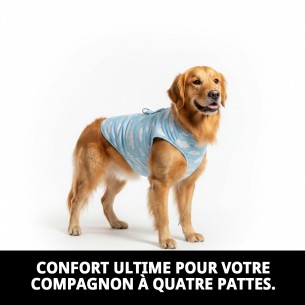Gilet 3D Nuages T-M : Confort et Style pour votre Animal de Compagnie 2