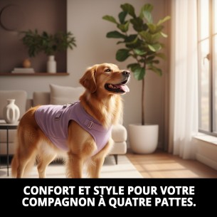 Gilet 3D Moly Lilas T-S : Confort et Style pour Votre Animal de Compagnie 2
