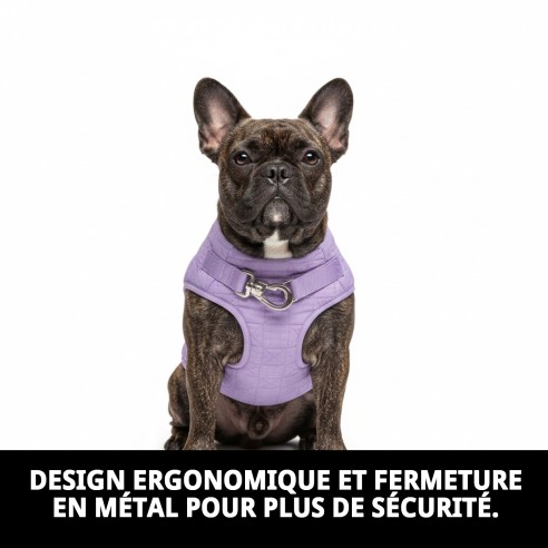 Gilet 3D Moly Lilas T-S : Confort et Style pour Votre Animal de Compagnie