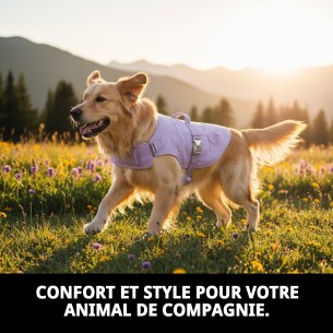 Gilet Moly 3D Lilas T-M : Confort et Style pour Animaux de Compagnie 2
