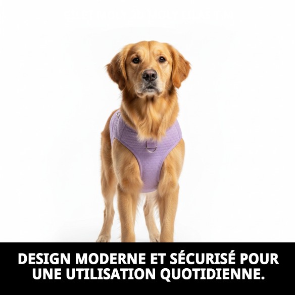Gilet Moly 3D Lilas T-M : Confort et Style pour Animaux de Compagnie