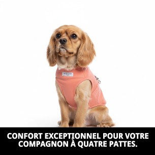Gilet Moly Saumon T-XXXS : Confort et Style pour Animaux de Compagnie 2