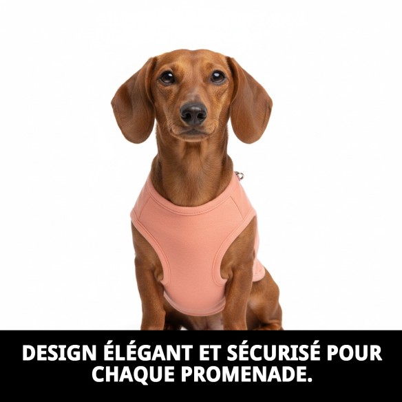 Gilet Moly Saumon T-XXXS : Confort et Style pour Animaux de Compagnie