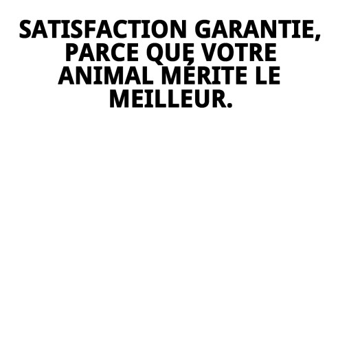 Gilet Moly Saumon T-XXS : Confort et Style pour votre Animal de Compagnie