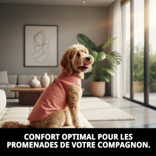 Gilet 3D Moly Salmon T-XS : Confort et sécurité pour votre animal de compagnie. 2