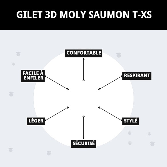 Gilet 3D Moly Salmon T-XS : Confort et sécurité pour votre animal de compagnie.