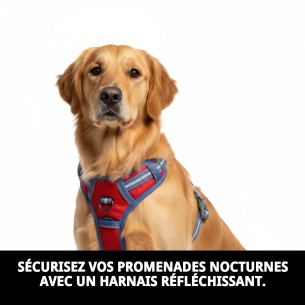 Harnais Extrême Réfléchissant M - 4 Positions pour votre Animal de Compagnie 2