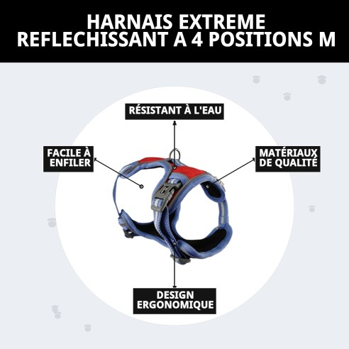 Harnais Extrême Réfléchissant M - 4 Positions pour votre Animal de Compagnie