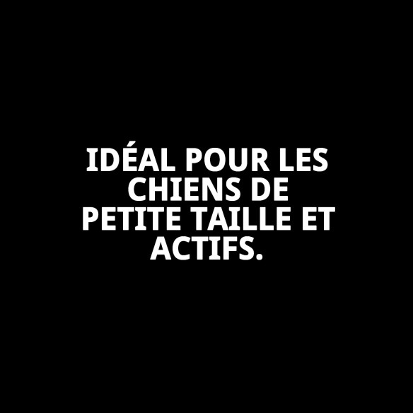 Harna rembourré Oxford Taille S : Confort et style pour votre animal de compagnie