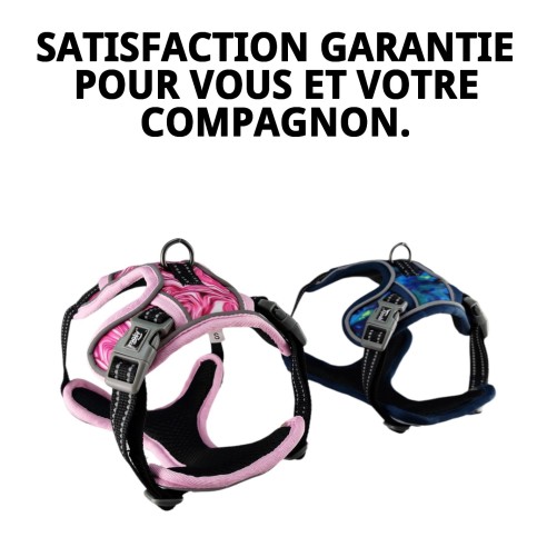 Harna rembourré Oxford Taille S : Confort et style pour votre animal de compagnie