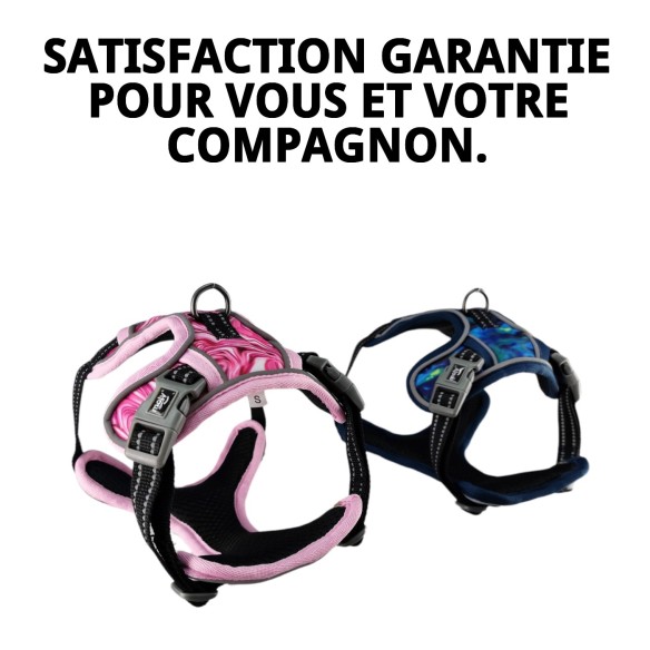 Harna rembourré Oxford Taille S : Confort et style pour votre animal de compagnie