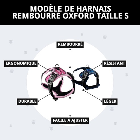 Harna rembourré Oxford Taille S : Confort et style pour votre animal de compagnie