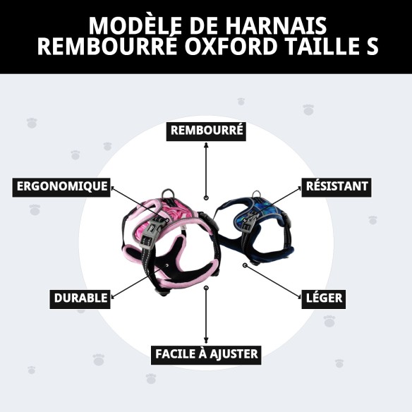 Harna rembourré Oxford Taille S : Confort et style pour votre animal de compagnie